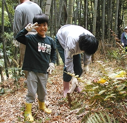 たけのこ掘りをする友彦