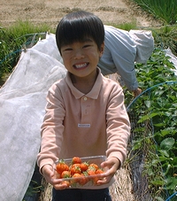 いちごがたくさん採れて大喜びの友彦